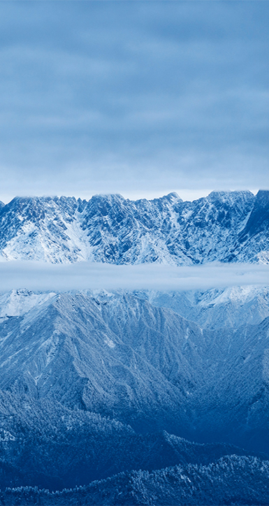 关于云顶集团app